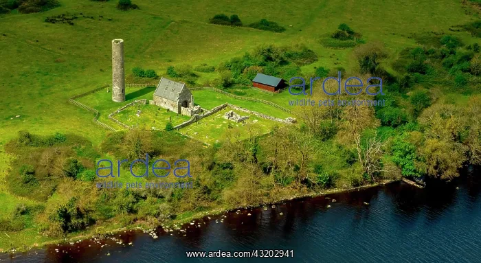 : Holy Island with dilapidated monastery, Lough Derg : Holy Island with dilapidated monastery, Lough Derg