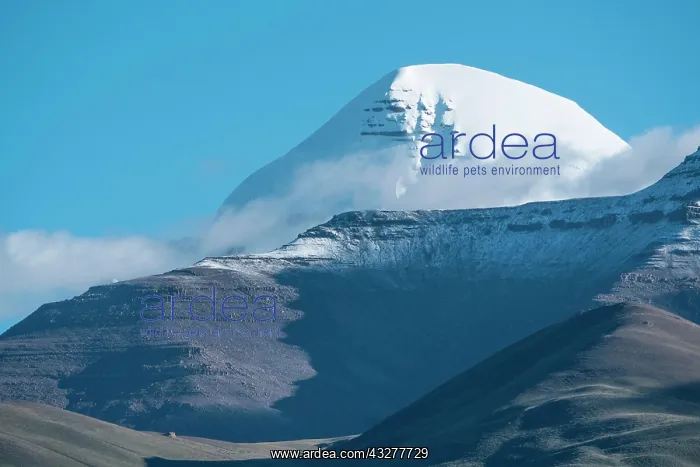  : The holy mountain Kailash, Tibet, China, Asia Der