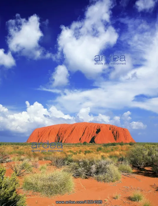 : The holy mountain of Uluru, Ayers Rock : The holy mountain of Uluru, Ayers Rock