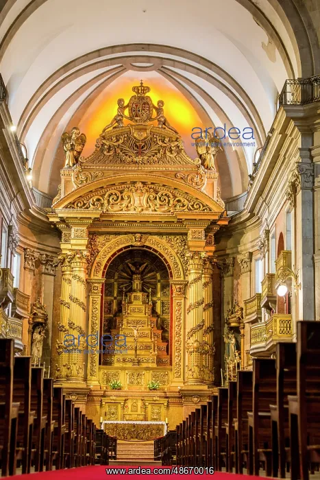 : Holy Trinity Church (Igreja da Santissima Trindade), Porto : Holy Trinity Church (Igreja da Santissima Trindade), Porto