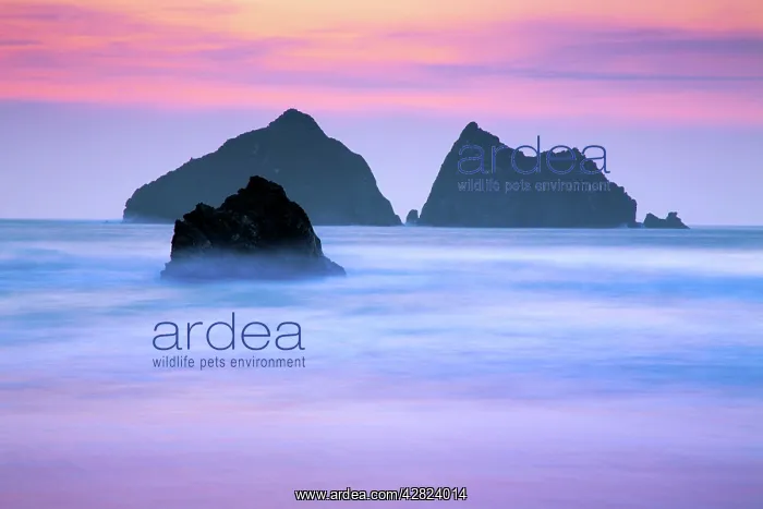 : Holywell Bay - The Carters - sunset : Holywell Bay - The Carters - sunset