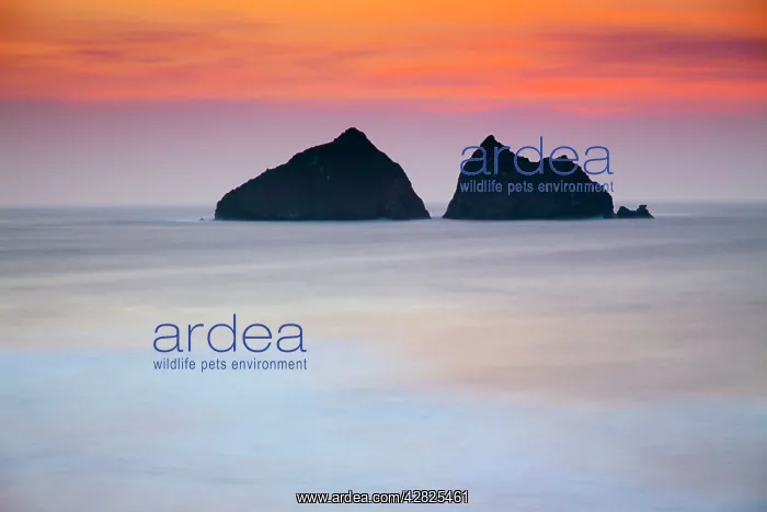 : Holywell Bay - The Carters - sunset : Holywell Bay - The Carters - sunset