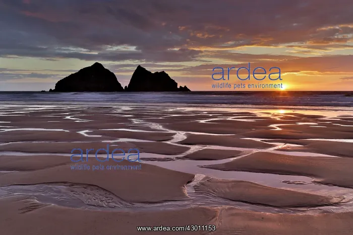 : Holywell Beach - at sunset : Holywell Beach - at sunset