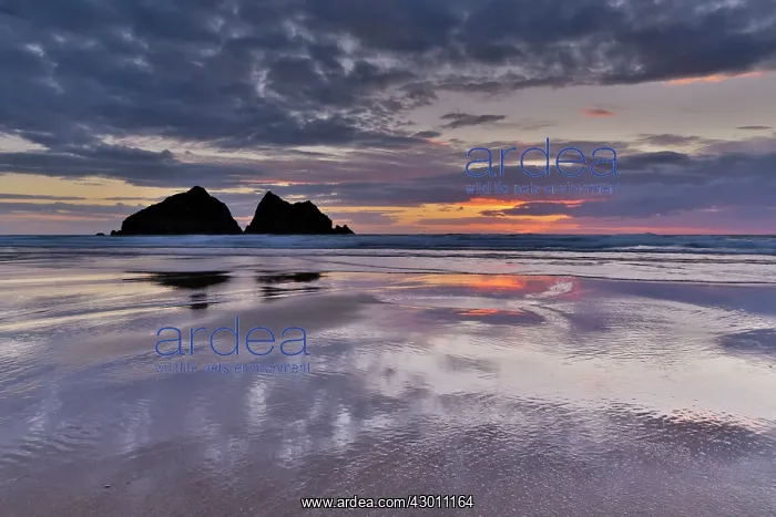 : Holywell Beach - at sunset : Holywell Beach - at sunset