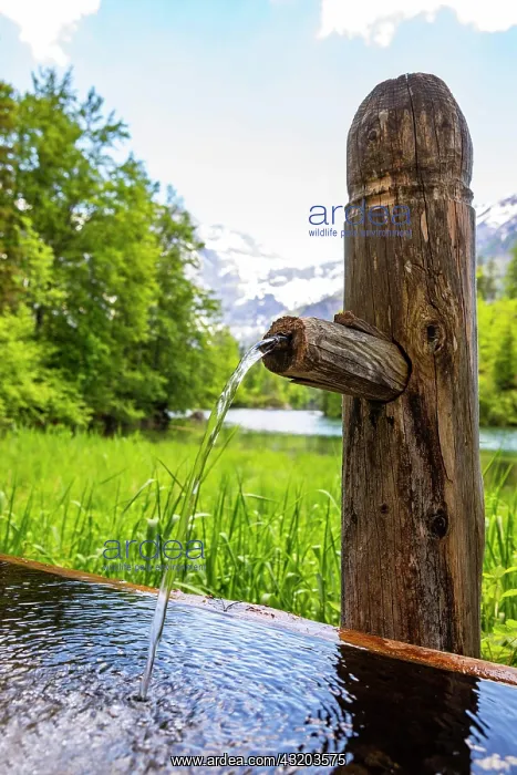 : Holzbrunnen near the Groier 'ndsee, Groier 'ndsee : Holzbrunnen near the Groier 'ndsee, Groier 'ndsee