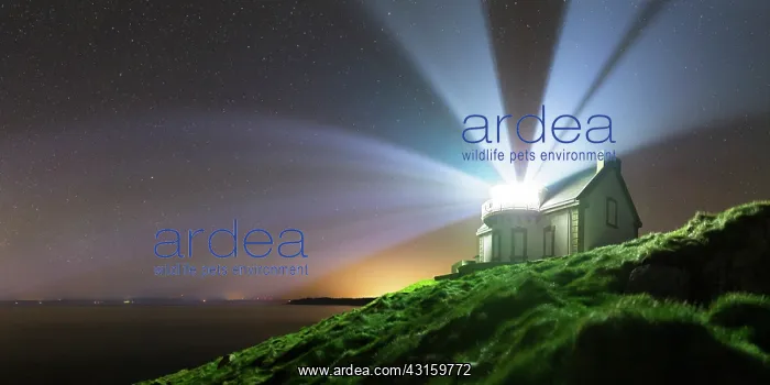 : A home-built lighthouse at Pointe du Muller. Its : A home-built lighthouse at Pointe du Muller. Its