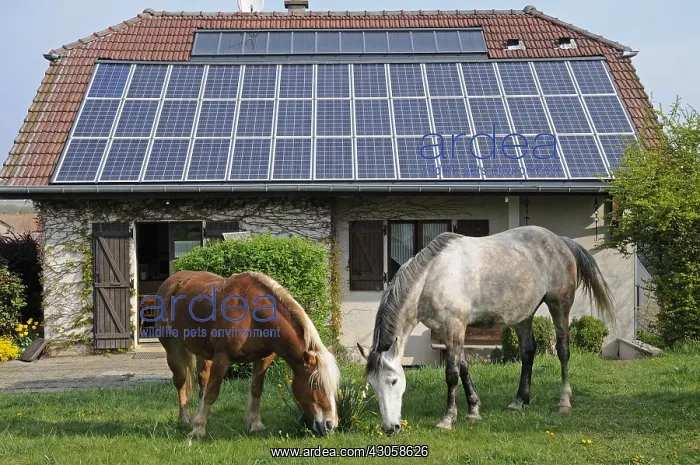 : Home Solar Roof maintaining the lawn and Horses France : Home Solar Roof maintaining the lawn and Horses France