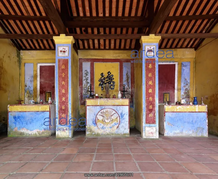 : Hon Chen Temple - full of altars, spirit houses : Hon Chen Temple - full of altars, spirit houses
