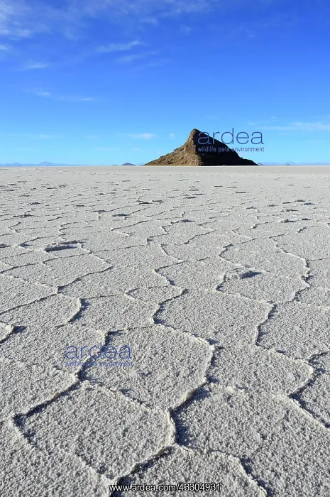 : Honeycomb structure on the salt lake, rocky island : Honeycomb structure on the salt lake, rocky island