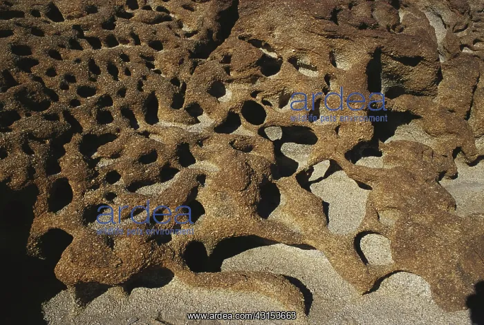 : Honeycomb Weathering : Honeycomb Weathering
