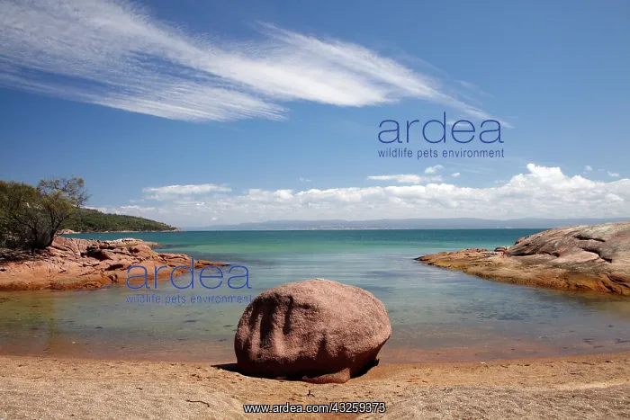 : Honeymoon Bay, Coles Bay, Freycinet National : Honeymoon Bay, Coles Bay, Freycinet National