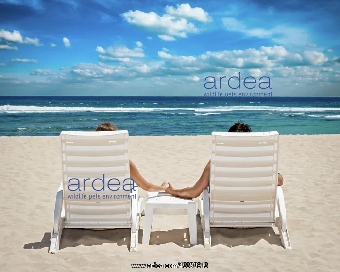 : Honeymoon travel resort concept, couple in beach : Honeymoon travel resort concept, couple in beach