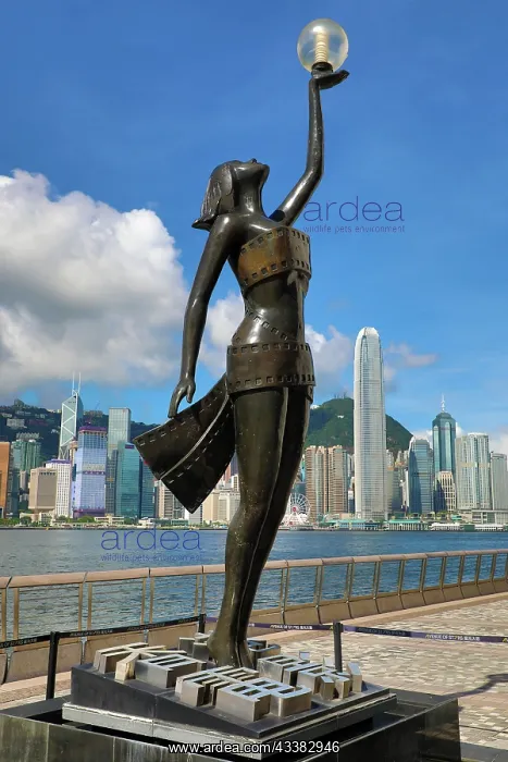 : Hong Kong, China : Hong Kong, China