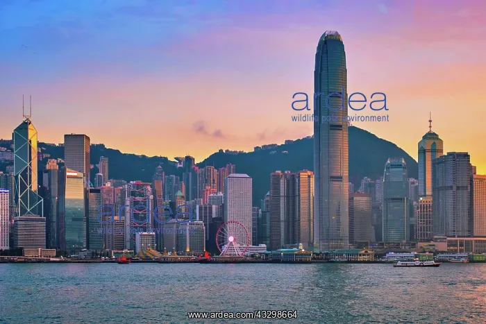 : Hong Kong skyline cityscape downtown skyscrapers : Hong Kong skyline cityscape downtown skyscrapers