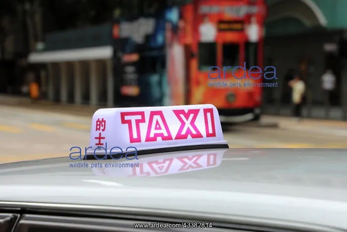 : Hong Kong taxi sign, Hong Kong, China : Hong Kong taxi sign, Hong Kong, China