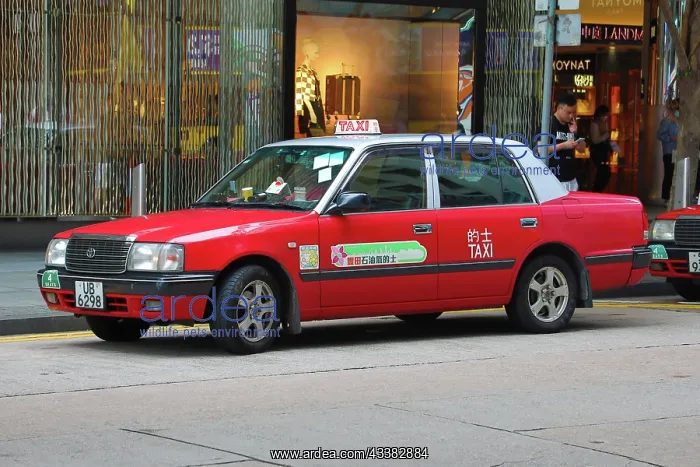: Hong Kong taxi in the street in Central, Hong Kong, China : Hong Kong taxi in the street in Central, Hong Kong, China