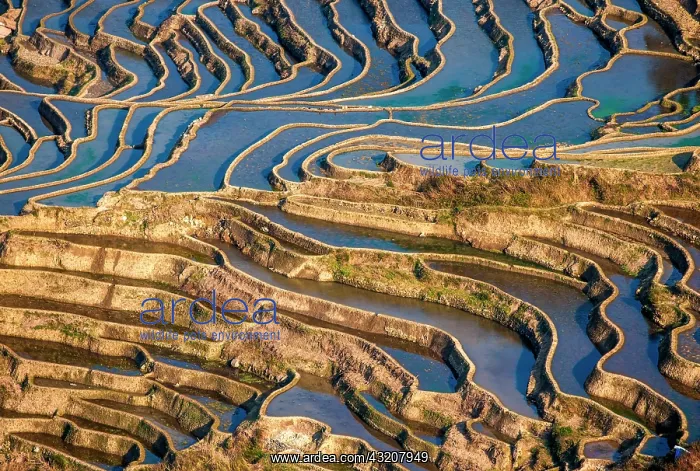 : Honghe Hani Rice Terraces in Yuanyang County. Yu : Honghe Hani Rice Terraces in Yuanyang County. Yu