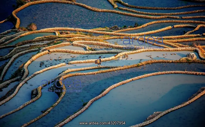 : Honghe Hani Rice Terraces in Yuanyang County. Yu : Honghe Hani Rice Terraces in Yuanyang County. Yu