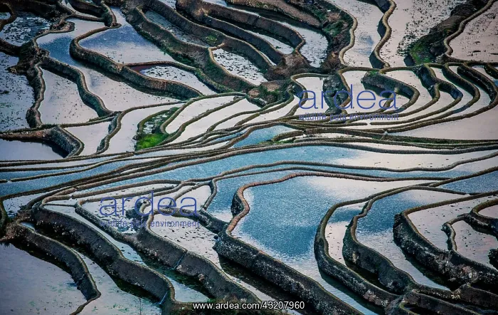 : Honghe Hani Rice Terraces in Yuanyang County. Yu : Honghe Hani Rice Terraces in Yuanyang County. Yu