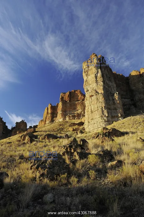 : Hoodoo Cliffs, Fossil Beds National Monument : Hoodoo Cliffs, Fossil Beds National Monument