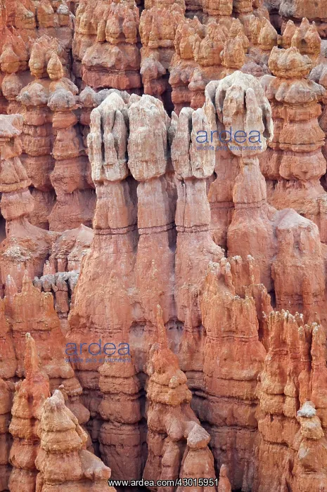  : Hoodoos