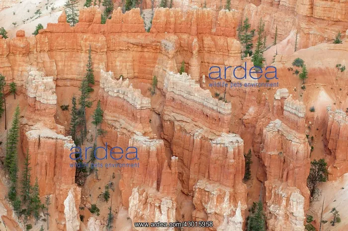  : Hoodoos