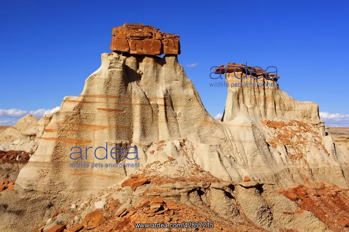 : Hoodoos - eroded clay sculptures with rocks balanced : Hoodoos - eroded clay sculptures with rocks balanced
