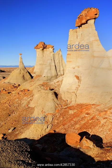 : Hoodoos - eroded clay sculptures with rocks balanced : Hoodoos - eroded clay sculptures with rocks balanced