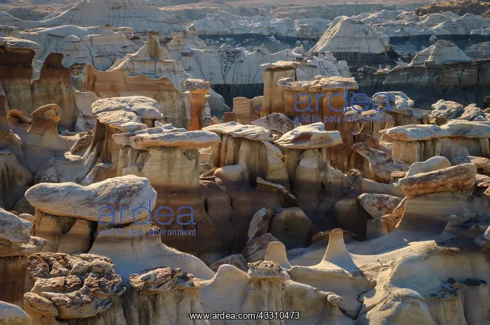 : Hoodoos, eroded sandstone, Bisti Badlands, Bisti / De-Na-Zin : Hoodoos, eroded sandstone, Bisti Badlands, Bisti / De-Na-Zin