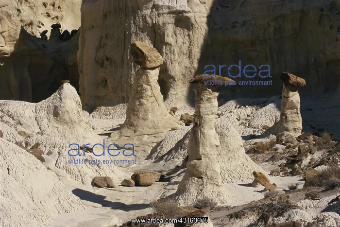 : Hoodoos in Grand Staircase, Utah : Hoodoos in Grand Staircase, Utah