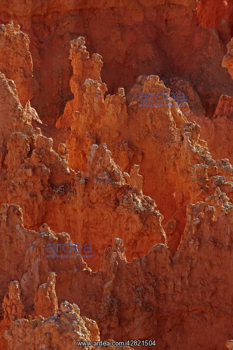 : Hoodoos - occur in Claron formation containing : Hoodoos - occur in Claron formation containing