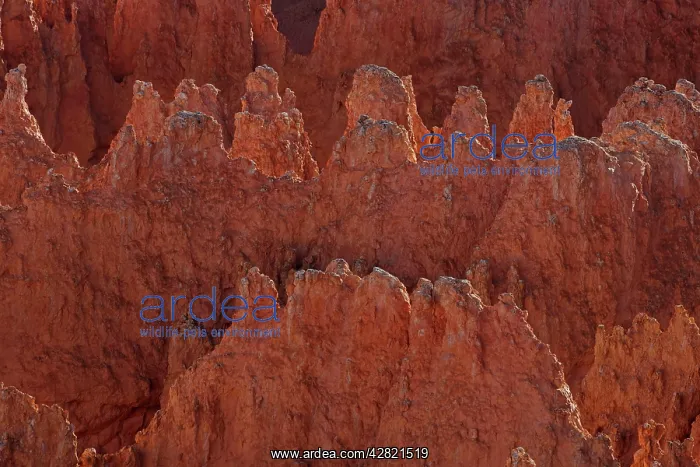 : Hoodoos - occur in Claron formation containing : Hoodoos - occur in Claron formation containing