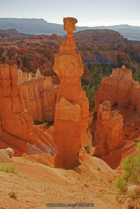 : Hoodoos - occur in Claron formation containing : Hoodoos - occur in Claron formation containing