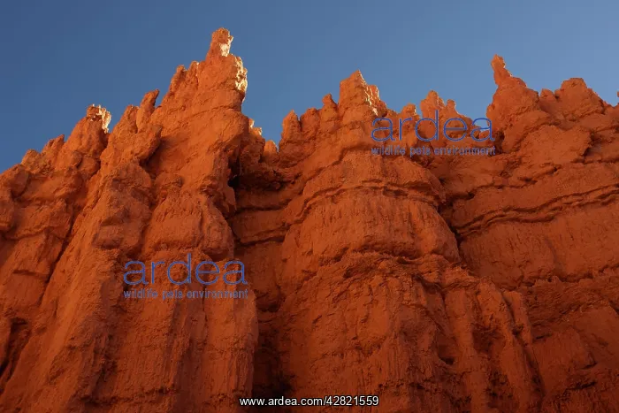 : Hoodoos - occur in Claron formation containing : Hoodoos - occur in Claron formation containing