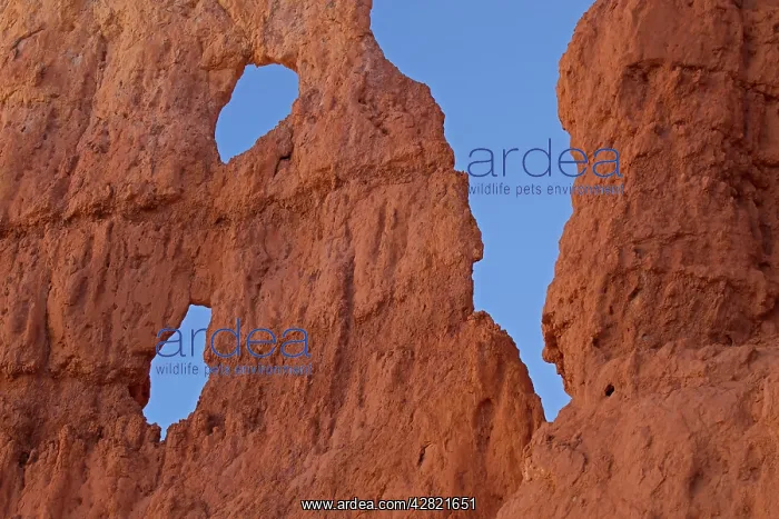 : Hoodoos - occur in Claron formation containing : Hoodoos - occur in Claron formation containing