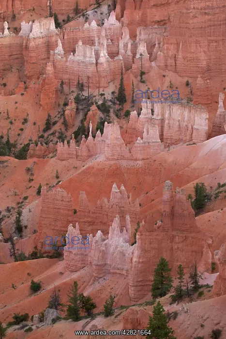 : Hoodoos - occur in Claron formation containing : Hoodoos - occur in Claron formation containing