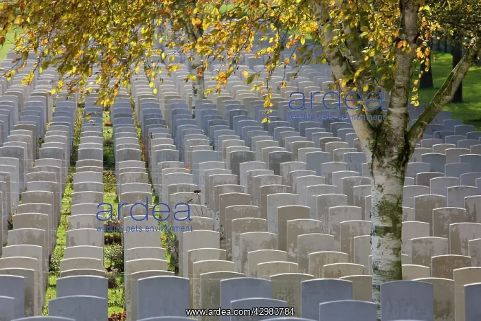 : Hooge Crater Cemetry - Commonwealth War Graves : Hooge Crater Cemetry - Commonwealth War Graves