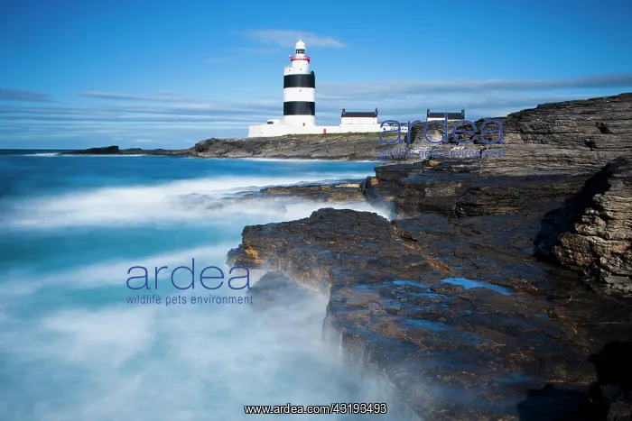 : Hook Head Lighthouse, Hook Head, County Wexford : Hook Head Lighthouse, Hook Head, County Wexford