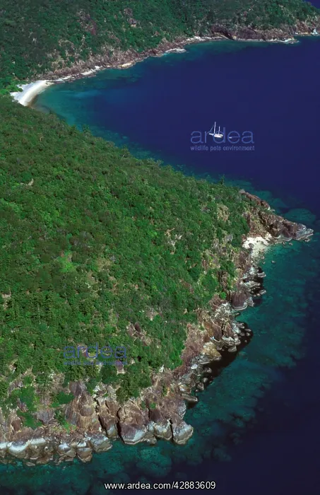 : Hook Island Whitsunday Group : Hook Island Whitsunday Group
