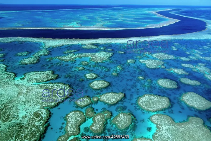 : Hook Reef - separated from Hardy Reef (top) by : Hook Reef - separated from Hardy Reef (top) by