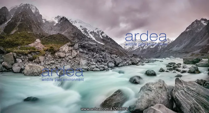 : Hooker River, Hooker Valley, Rear Mount Cook, Mount : Hooker River, Hooker Valley, Rear Mount Cook, Mount