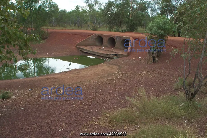 : Hooker River at Lajamanu : Hooker River at Lajamanu