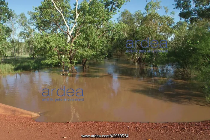 : Hooker River at Lajamanu : Hooker River at Lajamanu