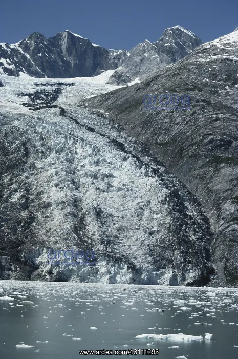 : Hoonah Glacier : Hoonah Glacier