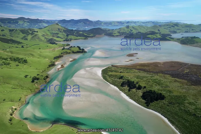 : Hoopers Inlet and farmland, Otago Peninsula, Dunedin : Hoopers Inlet and farmland, Otago Peninsula, Dunedin