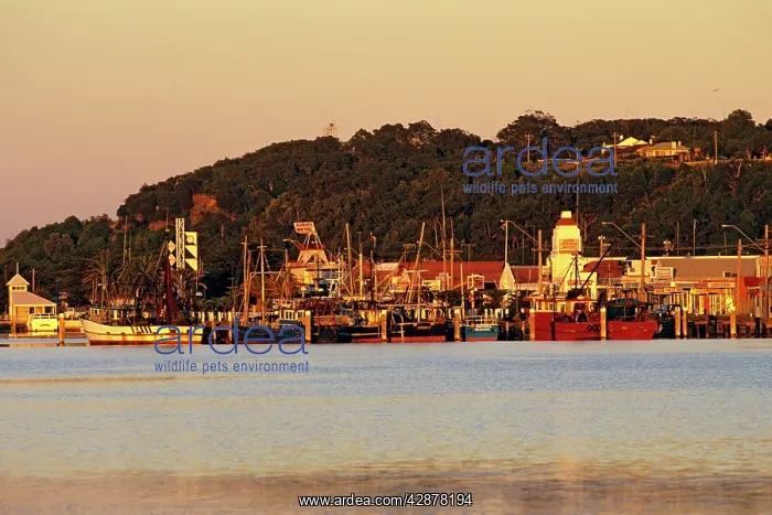  : Hopetoun Channel, Ninety Mile Beach, Lakes Entrance