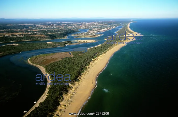 : Hopetoun Channel, Ninety Mile Beach, Lakes Entrance : Hopetoun Channel, Ninety Mile Beach, Lakes Entrance