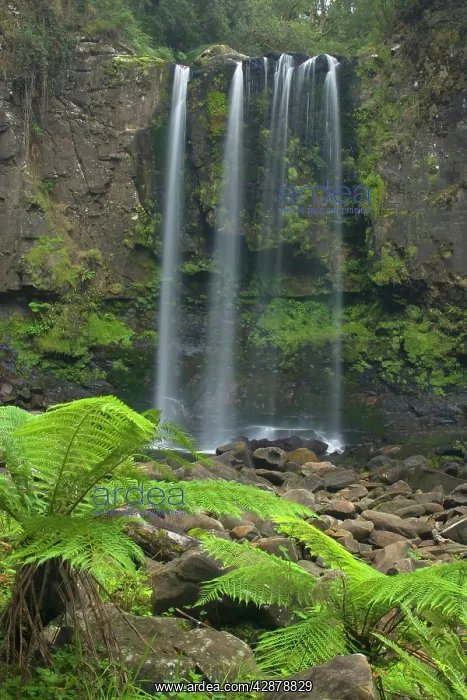 : Hopetoun Falls - beautiful and picturesque waterfall : Hopetoun Falls - beautiful and picturesque waterfall