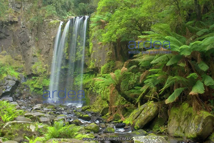 : Hopetoun Falls - beautiful and picturesque waterfall : Hopetoun Falls - beautiful and picturesque waterfall