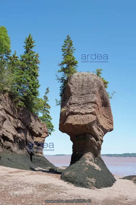 : Hopewell Rocks also Flowerpot Rocks, Bay of Fundy : Hopewell Rocks also Flowerpot Rocks, Bay of Fundy